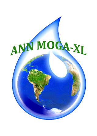 ANN MOGA-XL